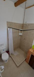 y baño con ducha y aseo. en Casa Primitivo en Barichara
