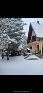 a house with snow on the ground next to a tree at Vikendica Vjeverica in Risovac