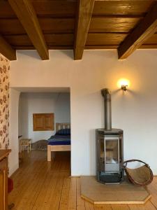 een woonkamer met een houtkachel in een kamer bij VIP MiKU apartman 2 in Mikulov