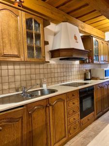 a kitchen with wooden cabinets and a sink at VIP MiKU apartman 2 in Mikulov