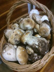 Gallery image of Bungalows Granja Escuela Arlanzón in Arlanzón