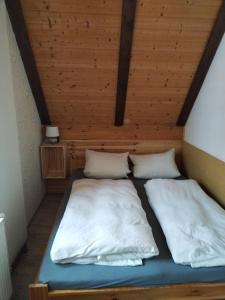 two beds in a room with a wooden ceiling at Apartmány Černá Říčka in Desná