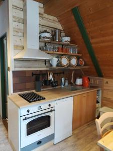 Kuchyň nebo kuchyňský kout v ubytování Apartmány Černá Říčka