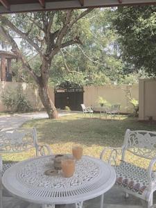 A garden outside Mango Tree House