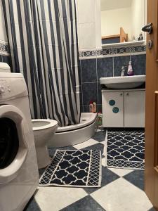 uma casa de banho com um WC, um lavatório e um chuveiro em Homy apartment in city center Marijin Dvor em Saraievo