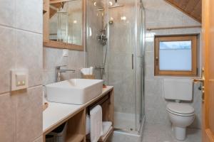 ein Bad mit einem Waschbecken, einem WC und einer Dusche in der Unterkunft Hiša Rodica in Bohinj