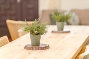 Fotografie z fotogalerie ubytování Taitung Bear Station Inn v destinaci Tchaj-tung