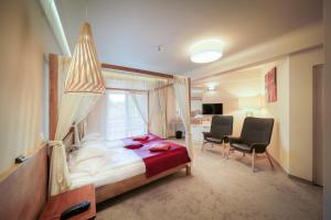TV a/nebo společenská místnost v ubytování Hotel Szeifert