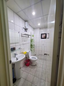 a white bathroom with a toilet and a sink at 念念Nian Nian Taomi Inn in Puli