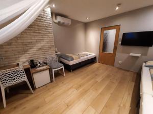 salon z łóżkiem i telewizorem w obiekcie Hotel Boršičanka w Hawierzowie