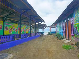 蘇加武眉的住宿－SPOT ON 92154 Nusasari Guest House，一堆建筑,上面有色彩缤纷的绘画作品