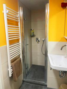 a bathroom with a shower and a sink at Meiks Ostseehütten in Dranske