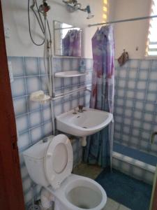 a bathroom with a toilet and a sink at AU JARDIN FLEURI in Sainte-Anne
