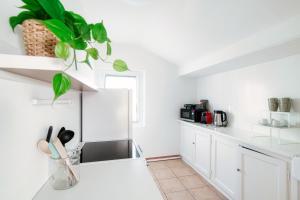 een keuken met witte kasten en een plant op de toonbank bij Mansarda Verde by Quokka 360 - cosy attic apartment with lake view in Ponte Tresa