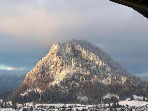 a mountain covered in trees in front of a city at Ferienwohnung Fuchs in Pfronten +2 photos
