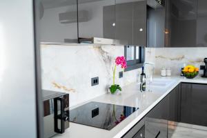 Kuchyň nebo kuchyňský kout v ubytování Sebastian Luxury Apartments