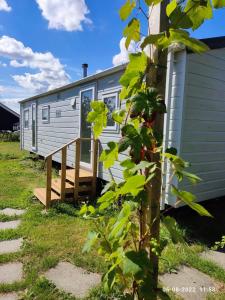 a tiny house with a porch and a deck at mini-camping 't Bergje in Serooskerke