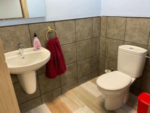 een badkamer met een toilet en een wastafel bij Alojamiento rural Casa Clara la Pescaora in Trevélez