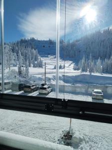 a window with a view of a snow covered field at Apartman Jelen - Snežna Dolina in Jahorina