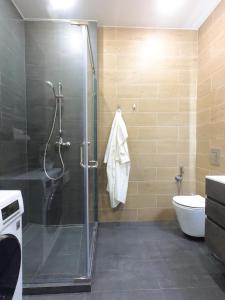 a bathroom with a shower and a toilet at Rechnaya in Astana