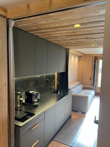 uma cozinha com um lavatório e um fogão num quarto em Studio Chalet des Pistes Megève em Demi-Quartier