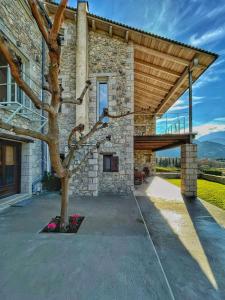 une maison en pierre avec un arbre en face de celle-ci dans l'établissement Ocazzia of Parnassos, à Polydrossos