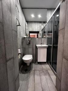 a bathroom with a toilet and a sink at Chikhi in Tbilisi City
