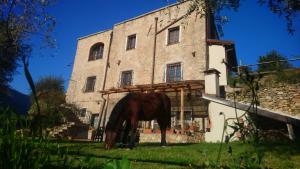 a horse grazing in the grass in front of a building at Agriturismo LE CASE ROTTE in Balestrino