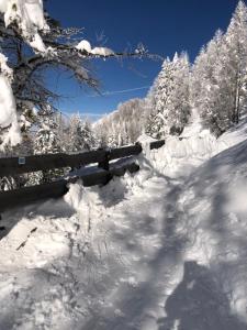a fence covered in snow next to some trees at Appartment Isabelle Sky in Presseggersee