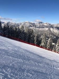 a snow covered mountain with trees and a red fence at Appartment Isabelle Sky in Presseggersee