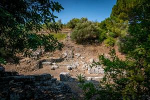 Φυσικό τοπίο κοντά σε αυτό το διαμέρισμα