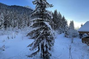 Les 3 Sophies - Magnifique chalet pour 1 à 8 personnes proche des remontées mécaniques des prodains v zime