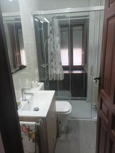 ein Bad mit einem Waschbecken, einem WC und einer Dusche in der Unterkunft Casa Fuente Salada - Vinuesa in Vinuesa