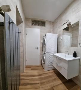 a bathroom with a washer and dryer and a sink at Apartman Orhideja in Fužine +38 photos