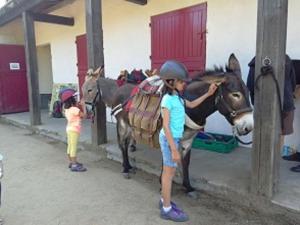 Deux petites filles debout à côté d'un cheval dans l'établissement LES APPARTS DU VALINCO - VILLA 77 - CORSE 2A -ANCV, à Serra-di-Ferro