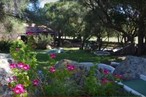 Ogród w obiekcie LES APPARTS DU VALINCO - VILLA 77 - CORSE 2A -ANCV