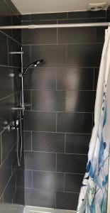 a shower in a bathroom with a black tiled wall at Appartement lumineux et calme in Jodoigne
