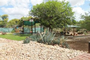 a garden with rocks and a tree and a playground at The Joint Backpackers in Oudtshoorn
