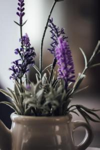 una tazza bianca con fiori viola di Casa Lavenda a Plovdiv