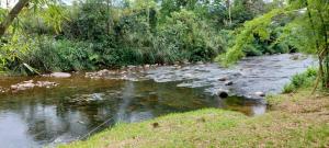 Un río con un montón de rocas en el agua en Pousada Morretes Arraial, en Morretes