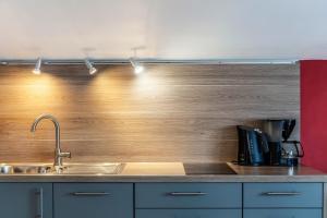 kuchnia ze zlewem i drewnianą ścianą w obiekcie Barbara Jais w mieście Mittenwald +14 zdjęć