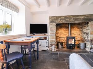 Televiisor ja/või meelelahutuskeskus majutusasutuses Ael Y Bryn