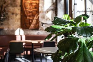 una planta en una habitación con mesas y sillas en Hôtel Taggât en Lyon