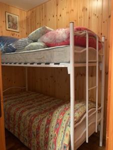 two bunk beds in a room with wooden walls at Residence il Cristallo - Appartamento in Ovindoli