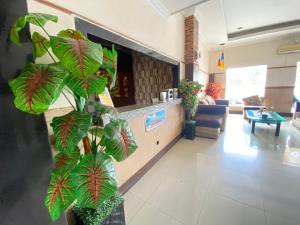 a living room with a large green plant in a room at Lilianto Hotel Polewali Mitra RedDoorz in Campalagiang