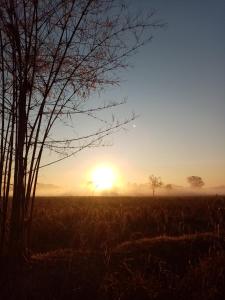 een zonsondergang in een veld met een boom op de voorgrond bij Uma farm in Nong Khai