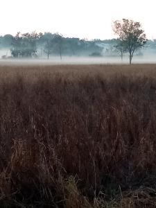 ノーンカーイにあるUma farmの霧の草原