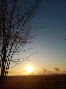 ノーンカーイにあるUma farmの空の日の出