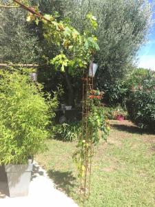 Zdjęcie z galerii obiektu Maison les Mas de la Mer Sanary sur Mer w mieście Sanary-sur-Mer +32 zdjęcia
