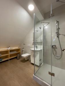een badkamer met een douche, een wastafel en een toilet bij Apartma LD Puščava in Lovrenc na Pohorju